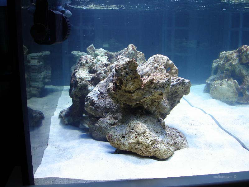reef tank circulation