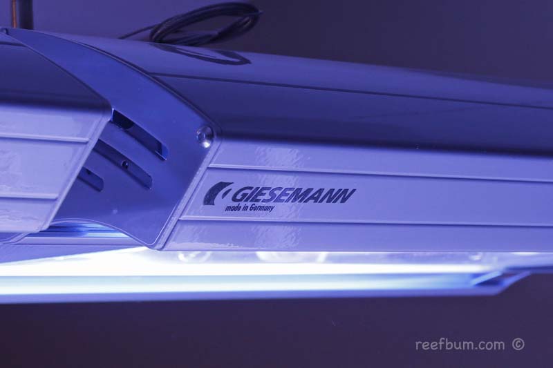 Giesemann Spectra Metal Halide & T5 Light Fixture