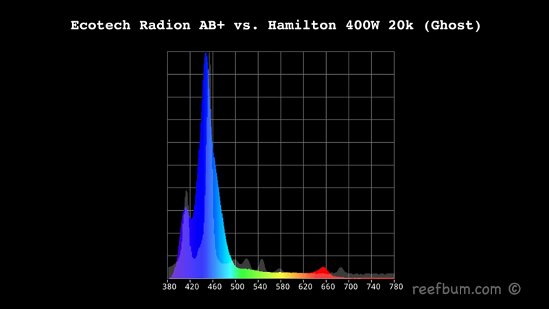 radion spectrum ecotech