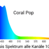 Mitras 7506 Coral Pop